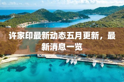 许家印最新动态五月更新，最新消息一览