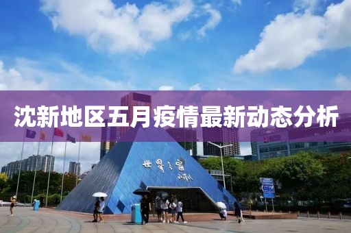 沈新地区五月疫情最新动态分析