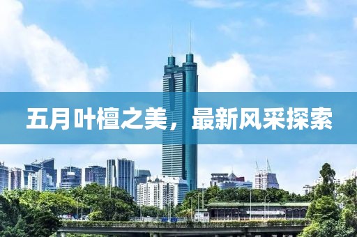 五月叶檀之美，最新风采探索
