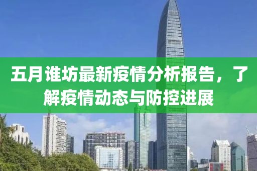 五月谁坊最新疫情分析报告，了解疫情动态与防控进展