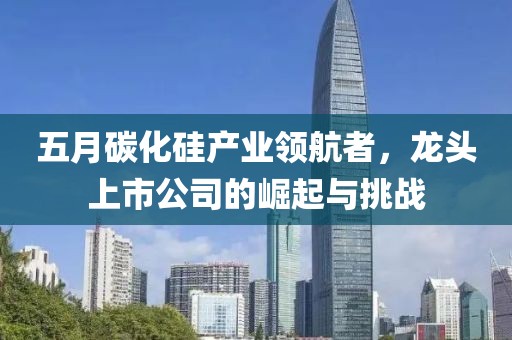 科目三 第6页