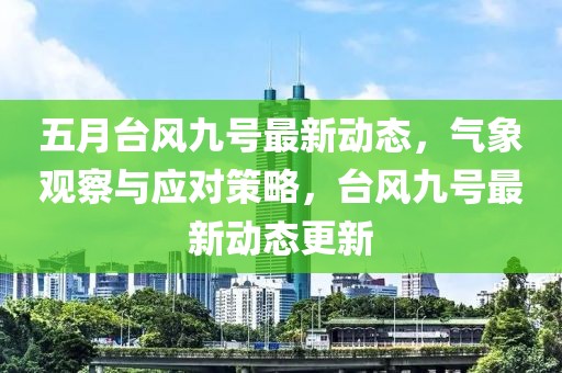五月台风九号最新动态，气象观察与应对策略，台风九号最新动态更新