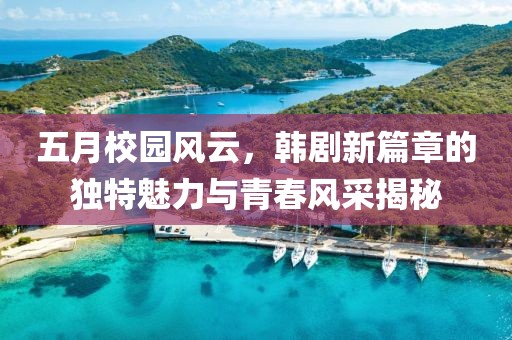 汽车陪练 第4页