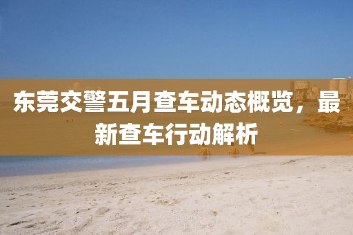 东莞交警五月查车动态概览，最新查车行动解析