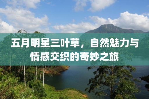 五月明星三叶草，自然魅力与情感交织的奇妙之旅