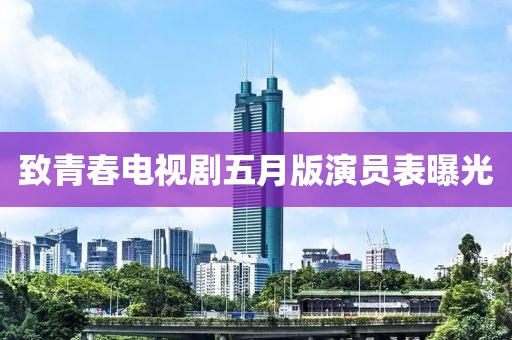 致青春电视剧五月版演员表曝光