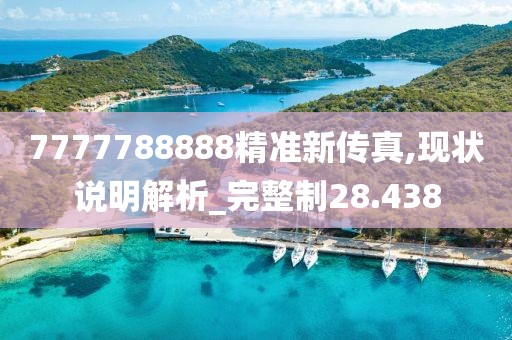 7777788888精准新传真,现状说明解析_完整制28.438