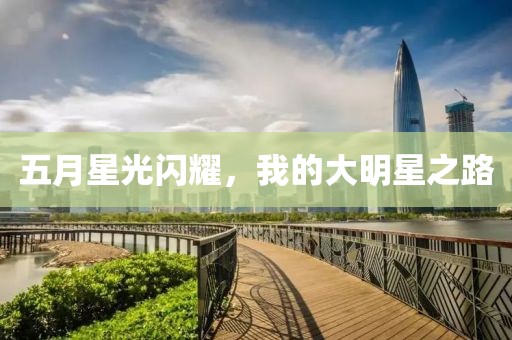 五月星光闪耀，我的大明星之路