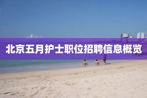北京五月护士职位招聘信息概览