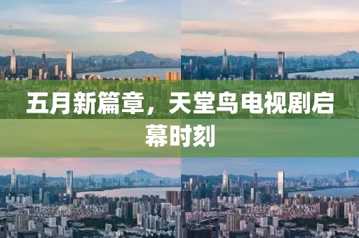 五月新篇章，天堂鸟电视剧启幕时刻