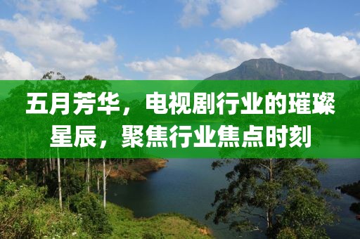五月芳华，电视剧行业的璀璨星辰，聚焦行业焦点时刻