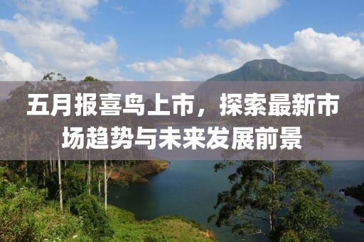 五月报喜鸟上市，探索最新市场趋势与未来发展前景