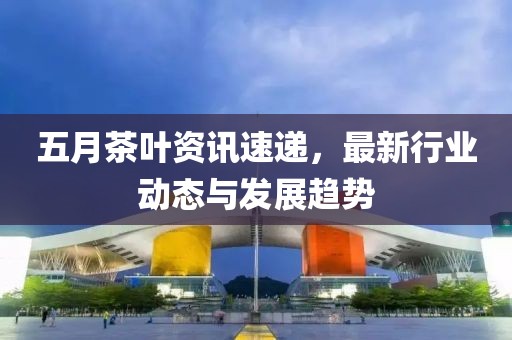 五月茶叶资讯速递，最新行业动态与发展趋势
