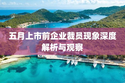 五月上市前企业裁员现象深度解析与观察
