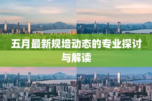 五月最新规培动态的专业探讨与解读