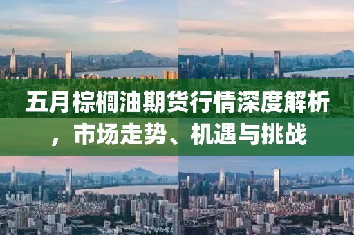 五月棕榈油期货行情深度解析，市场走势、机遇与挑战