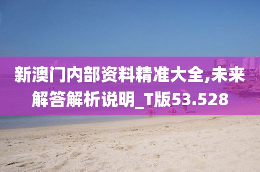新澳门内部资料精准大全,未来解答解析说明_T版53.528