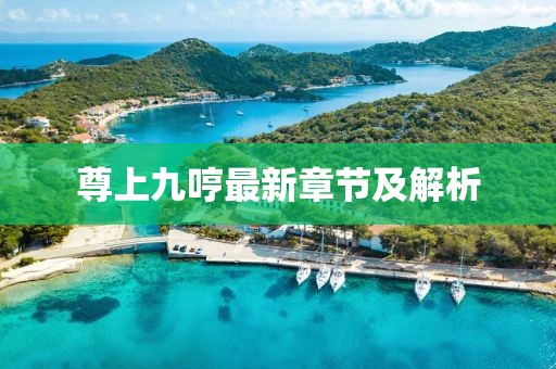 尊上九哼最新章节及解析