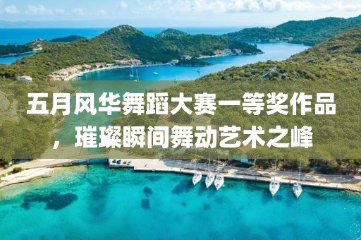 五月风华舞蹈大赛一等奖作品，璀璨瞬间舞动艺术之峰