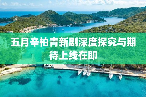 五月辛柏青新剧深度探究与期待上线在即