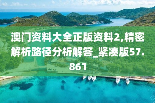 澳门资料大全正版资料2,精密解析路径分析解答_紧凑版57.861