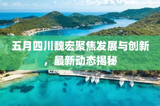 五月四川魏宏聚焦发展与创新，最新动态揭秘