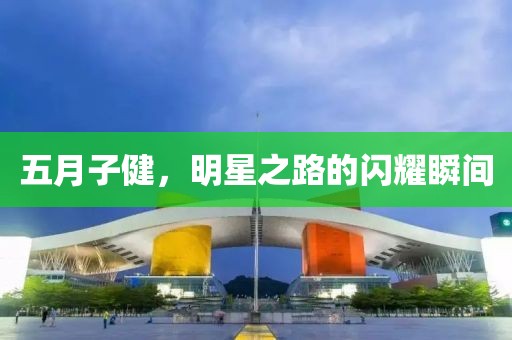 五月子健，明星之路的闪耀瞬间