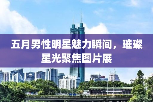 五月男性明星魅力瞬间，璀璨星光聚焦图片展