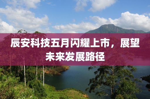 辰安科技五月闪耀上市，展望未来发展路径