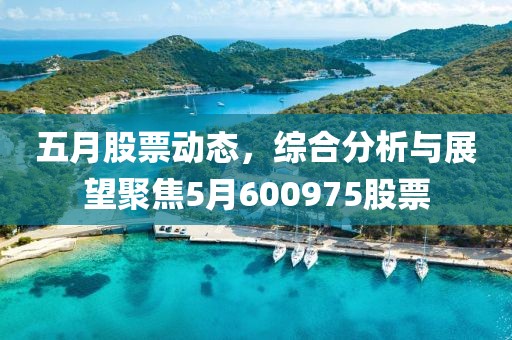 五月股票动态，综合分析与展望聚焦5月600975股票
