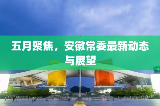 五月聚焦，安徽常委最新动态与展望