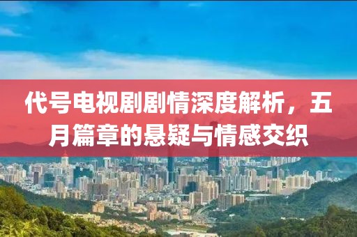 代号电视剧剧情深度解析，五月篇章的悬疑与情感交织