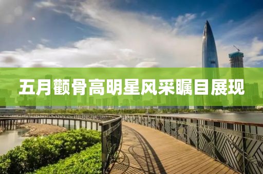 五月颧骨高明星风采瞩目展现