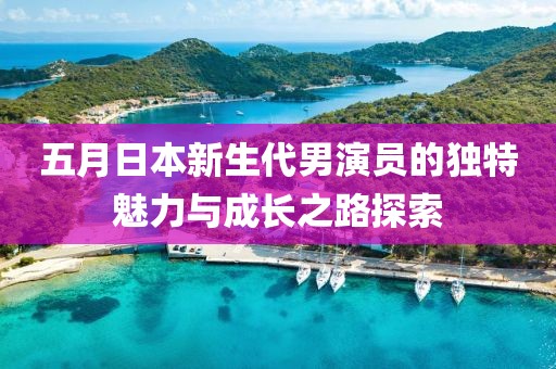 五月日本新生代男演员的独特魅力与成长之路探索