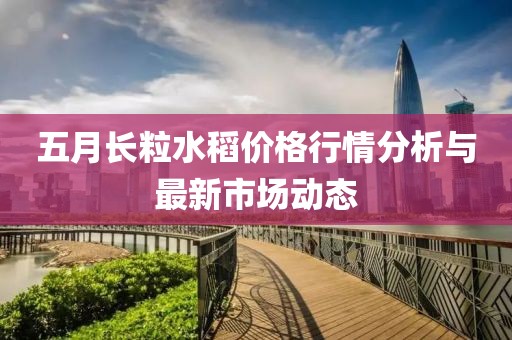 五月长粒水稻价格行情分析与最新市场动态
