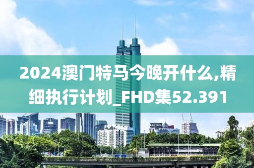 2024澳门特马今晚开什么,精细执行计划_FHD集52.391