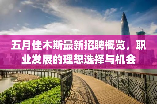 五月佳木斯最新招聘概览，职业发展的理想选择与机会