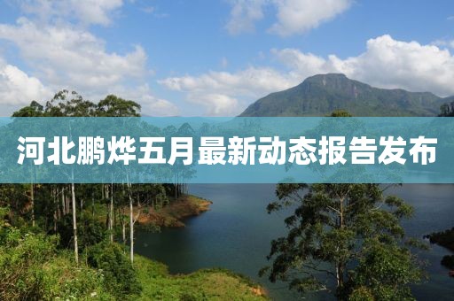 河北鹏烨五月最新动态报告发布