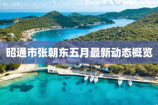 昭通市张朝东五月最新动态概览