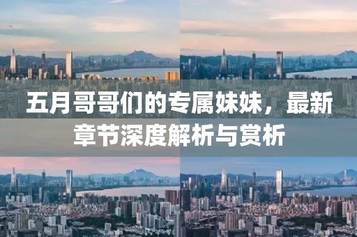 五月哥哥们的专属妹妹，最新章节深度解析与赏析