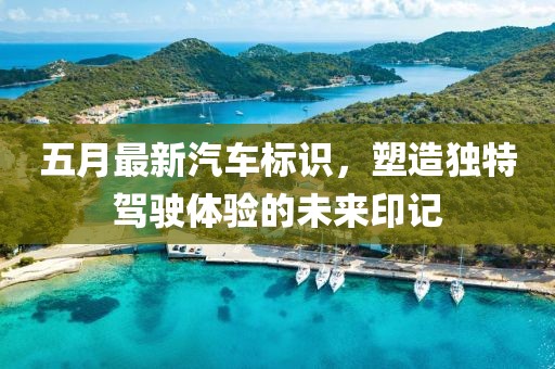 五月最新汽车标识，塑造独特驾驶体验的未来印记