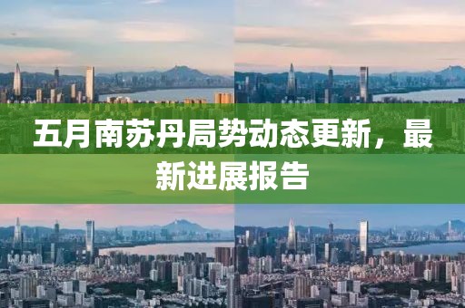 五月南苏丹局势动态更新，最新进展报告