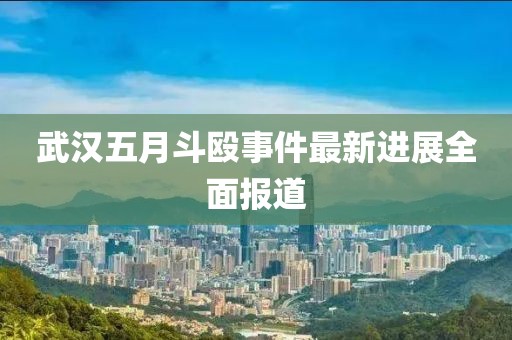 武汉五月斗殴事件最新进展全面报道