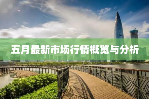 五月最新市场行情概览与分析