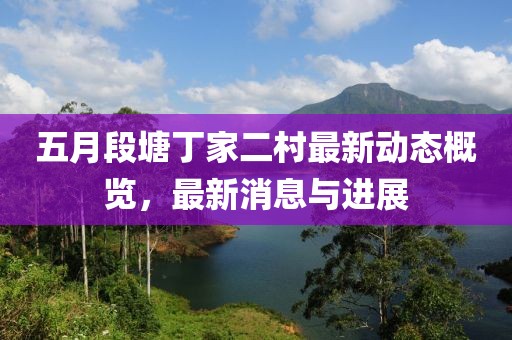 五月段塘丁家二村最新动态概览，最新消息与进展