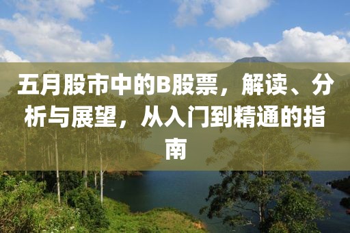 五月股市中的B股票，解读、分析与展望，从入门到精通的指南