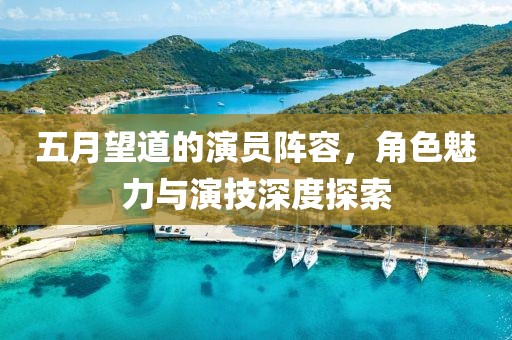 五月望道的演员阵容，角色魅力与演技深度探索