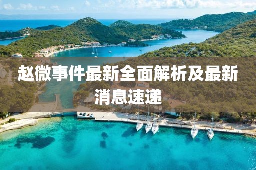赵微事件最新全面解析及最新消息速递