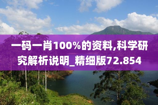 一码一肖100%的资料,科学研究解析说明_精细版72.854