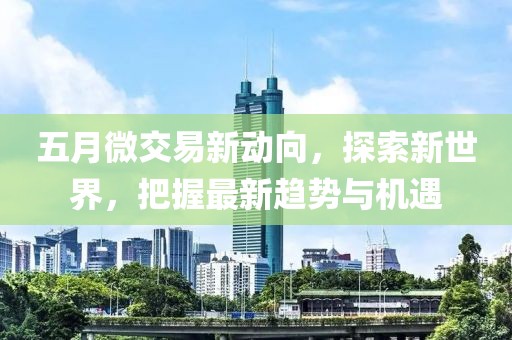 五月微交易新动向，探索新世界，把握最新趋势与机遇
